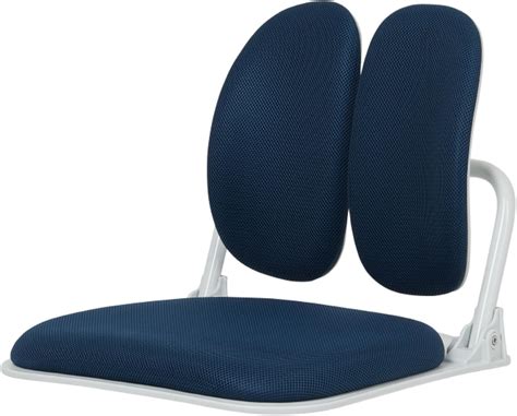 Amazon.com: Made in Korea Dual-Backrests Ergonomic Floor Chair With ...
