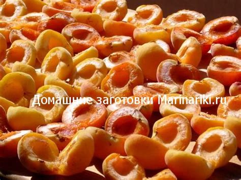Как сушить абрикосы на солнце, в духовке, в сушилке, без косточек ...