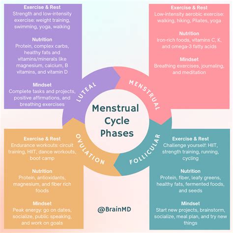 Ultimate Guide to Cycle Syncing Your Life to Your Menstrual Phases