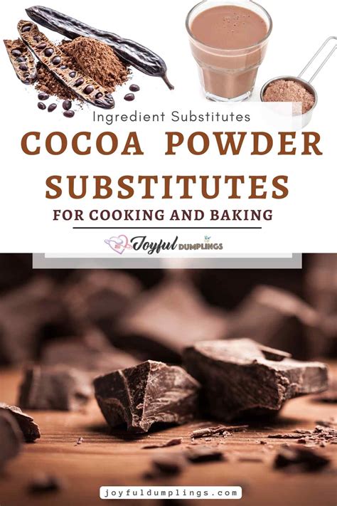 8 Best Substitutes for Cocoa Powder » Joyful Dumplings