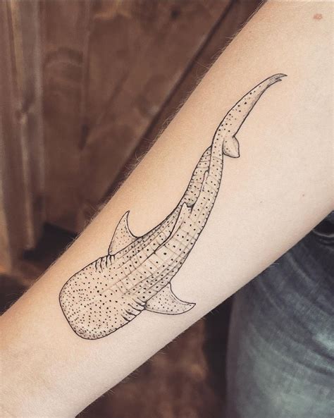 Whale shark tattoo IG: valhallvaror | Shark tattoos, Whale shark tattoo, Simplistic tattoos