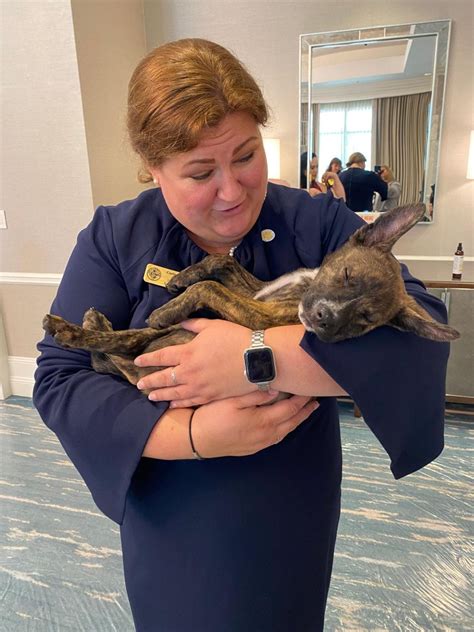 DIAL IT UP! – The blog site of the NSU Law Disability Inclusion and Advocacy Law Clinic