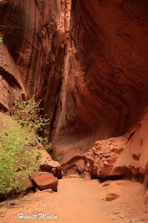 Guide for the Long Canyon Slot Hike in the Grand Staircase