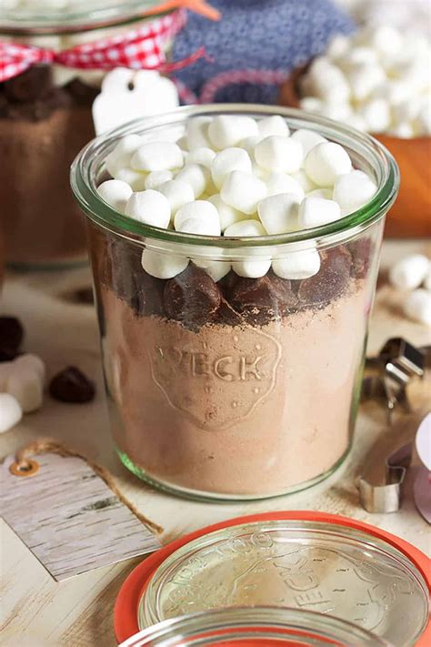 The Best Homemade Hot Cocoa Mix - The Suburban Soapbox