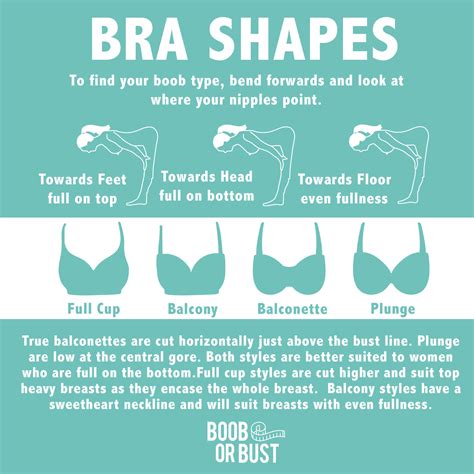 What Does A Full Cup Bra Mean at Loren Bona blog