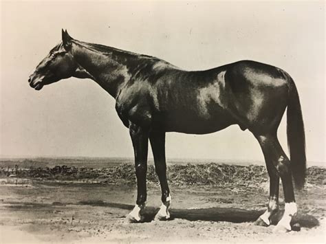 Lexington: The Granddaddy of Them All %%page%% - Bloodstock Archives