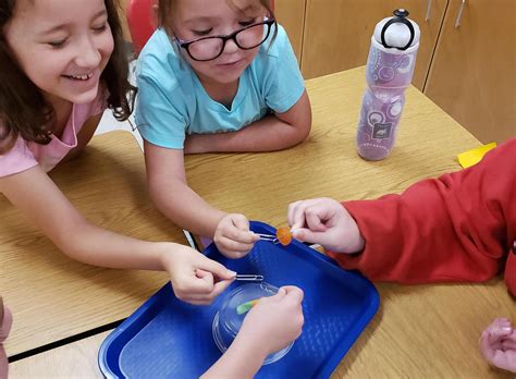 Berrien County School District