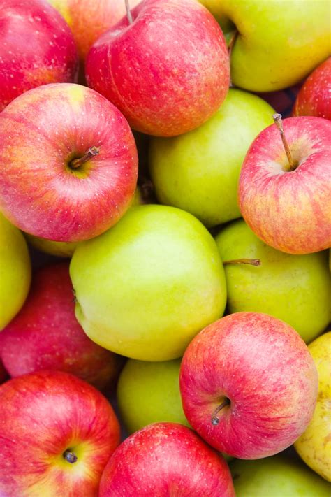 Apple Varieties - types of apples