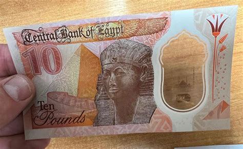 100 Egyptian Currency To Usd - Design Talk