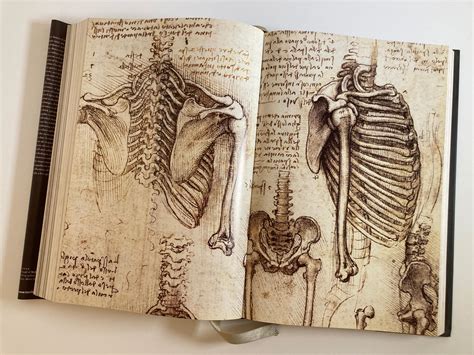 Leonardo Da Vinci The Complete Paintings and Drawings Opus Book at 1stDibs