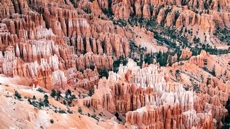 Bryce Canyon Hoodoos