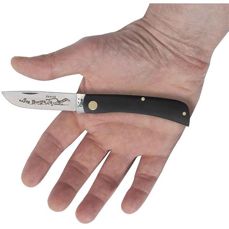 Case Sod Buster Jr 2.8 inch Folding Knife | Sportsman's Warehouse