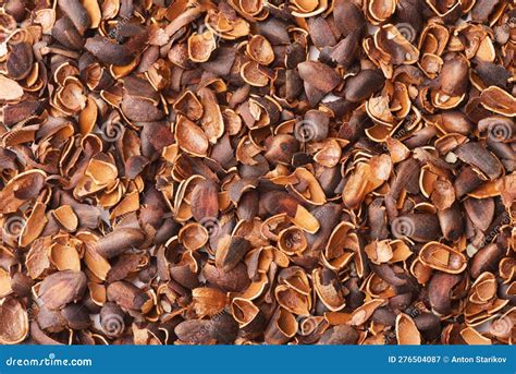 Top View of Empty Pine Nut Shells Stock Image - Image of heap, fruit ...