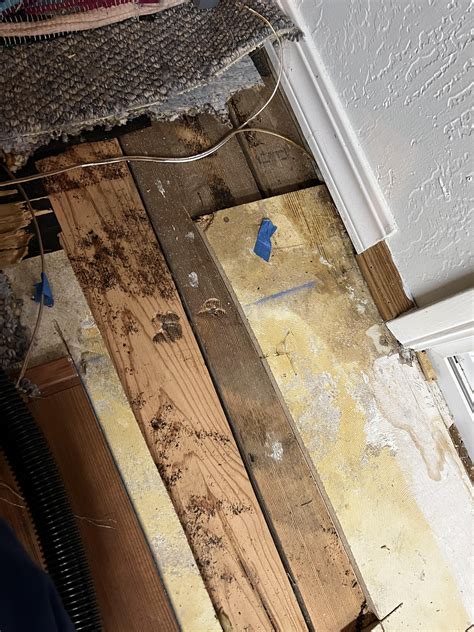 Can I install 3/4 solid hardwood (“cabin grade” hickory t&g) directly ...