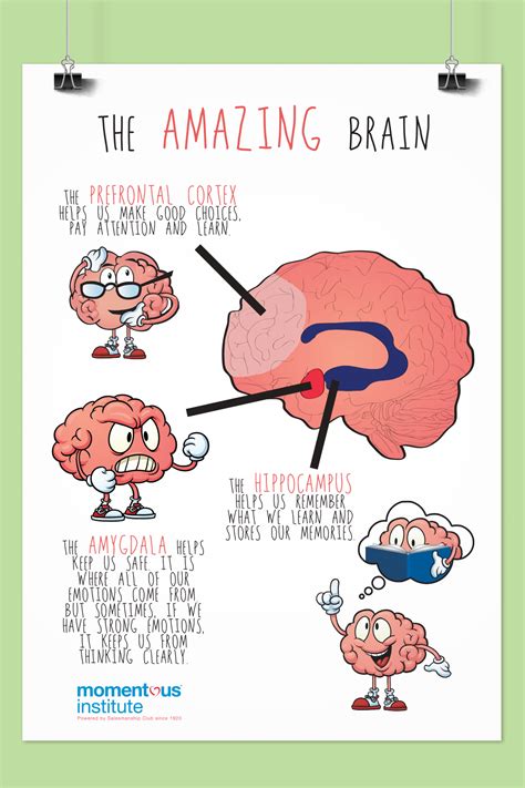 The Ultimate Guide To How The Brain Works Pdf