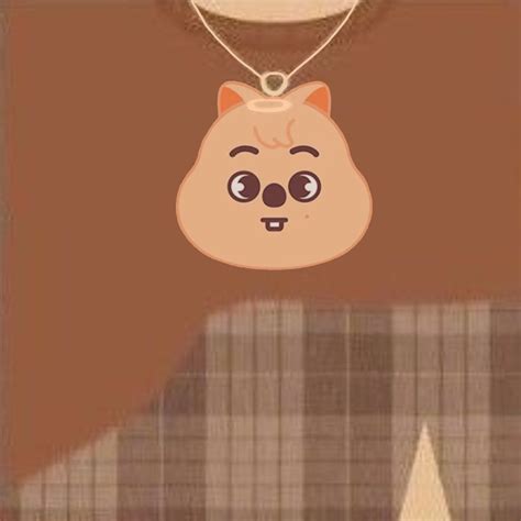 skzoo han quokka roblox tshirt | Tişört, Fotoğraf