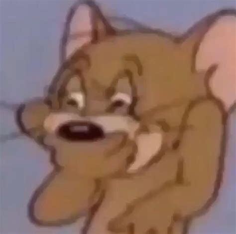 Jerry Crying Meme