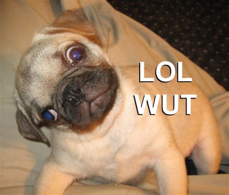 OIP.LbZ41XuaX8EWMN-jN0ReaAHaGU