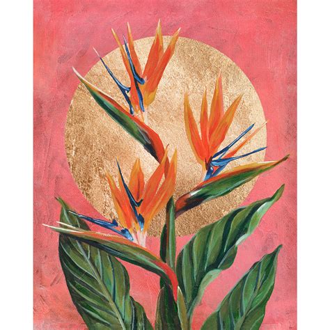 Birds Of Paradise Flower
