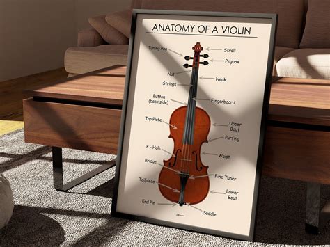Violin Anatomy Poster, Violin Diagram Printable, Violin Parts Names, Music Teacher Resource ...