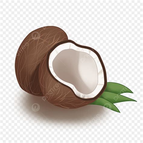 Coconut Fruits Clipart PNG Images, Fruit Combination Coconut Clip Art ...