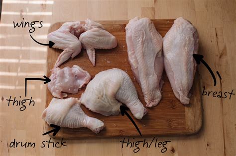 What Are All The Parts Of A Chicken at Seth Rudall blog