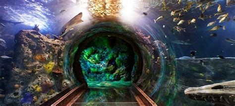«Морская жизнь», Сингапур, Marine Life Park - Сентоза