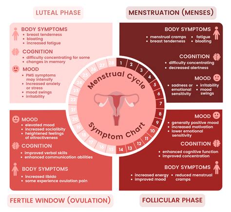 New study finds that brain structure changes cyclically throughout the menstrual cycle - KTVZ
