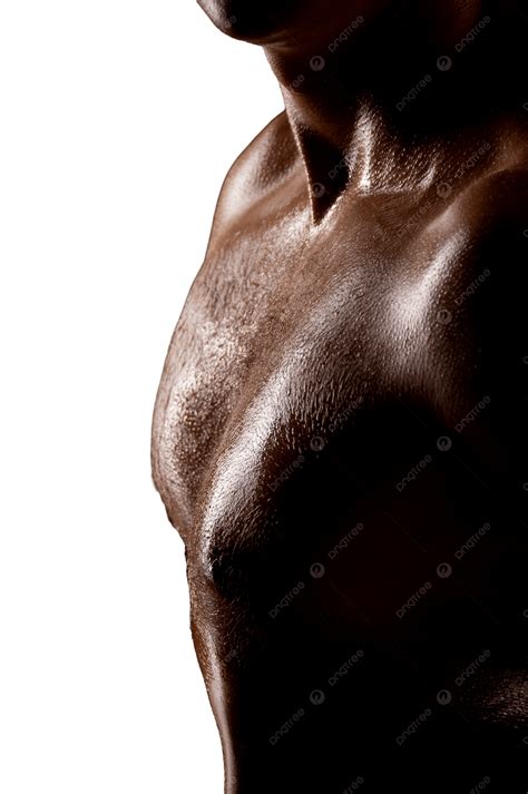 Torso Masculino Forma Adulta Abdomen PNG ,dibujos Deporte, Contraste ...