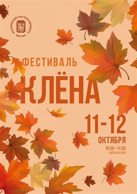 Фестиваль клёна 2025