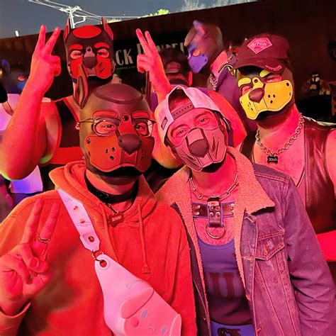 Pup & Pet Play 101 - DFW PAHS