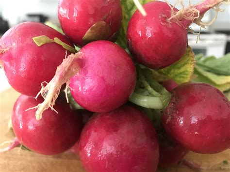 Cooked Radish Spicy at Julia Belcher blog