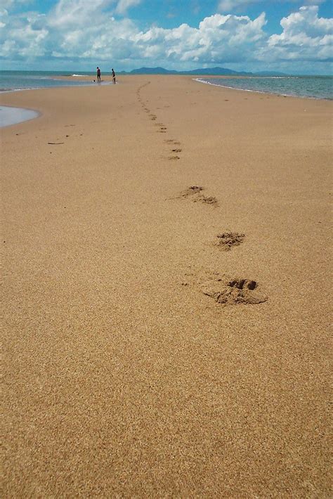 Best Beaches in Blacks Beach - Sandee