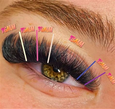 Cat Eye Look | Eyelash tips, Lashes fake eyelashes, Eyelashes tutorial