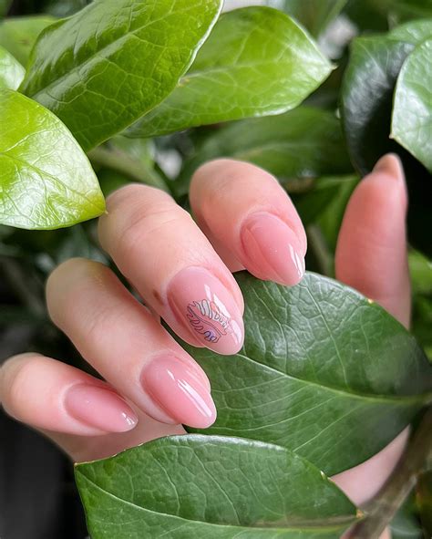 Маникюр с покрытием Shellac в салоне красоты в Красногорске цена на ...