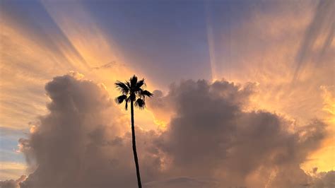 Watch vs. warning or advisory; Weather warnings you need to know