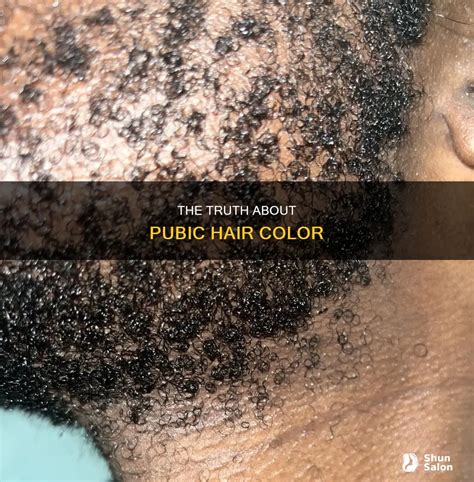The Truth About Pubic Hair Color | ShunSalon