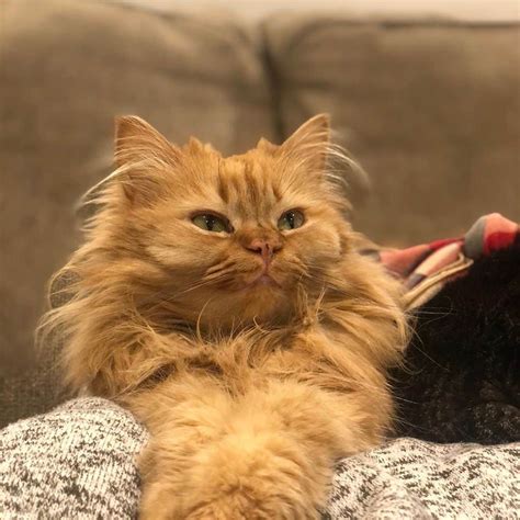 Coen, Ava, Reyさんのインスタグラム - (Coen, Ava, Rey@coen.rey)