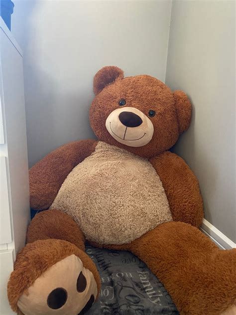 Incredible Compilation of Full 4K Big Teddy Bear Images: 999+ Stunning ...