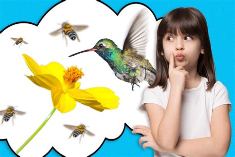 The sex question your kids are most likely to ask