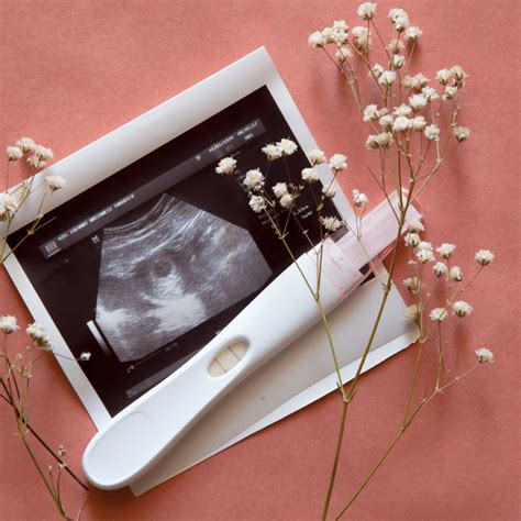 What Does TTC Mean in Pregnancy? Rediscovering the Journey! - Crunchy ...