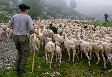 The Beret Project: Transhumance in the Vicdessos