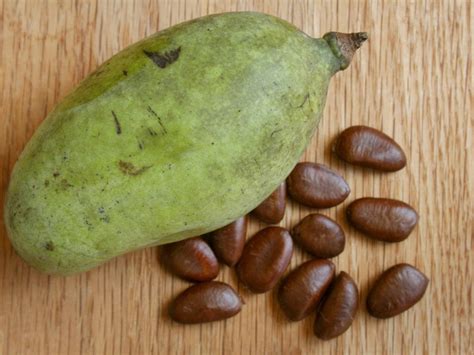 Download Pawpaw Fruit With Its Dry Seeds Wallpaper | Wallpapers.com