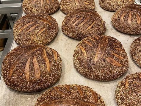 Layla Bagels Review - Santa Monica - Los Angeles - The Infatuation