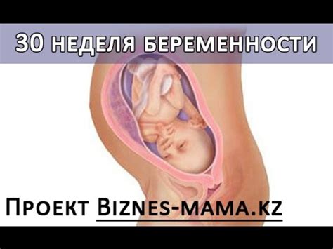 30 неделя беременности - YouTube