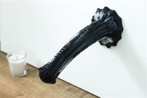 Wall Mounted Dildo