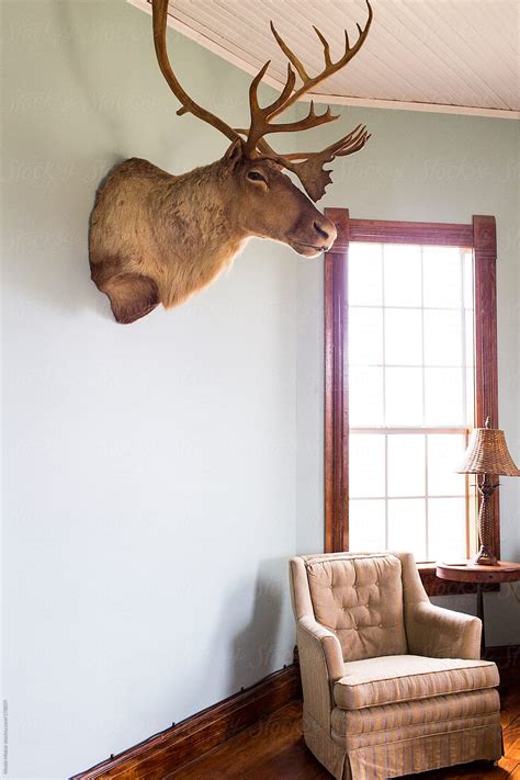 Deer Head Art For Wall at Tawana Tibbs blog