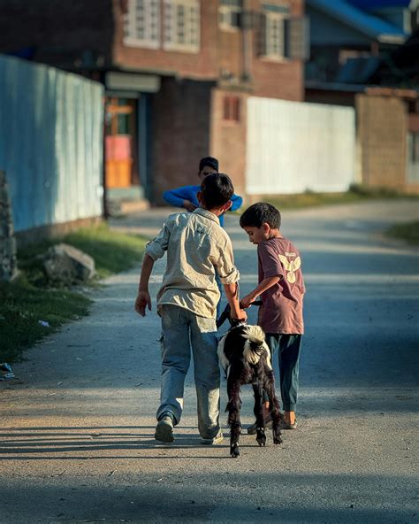 Anime+Sex+Positions Photos, Download The BEST Free Anime+Sex+Positions ...