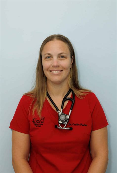 Cape Coral Pet Vet | Dog Dentist & Veterinarian | Pet Surgery