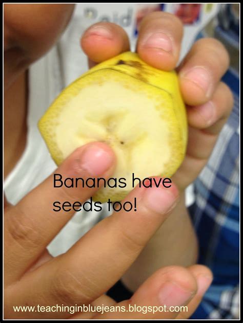 Do Some Bananas Have Seeds at George Farrow blog